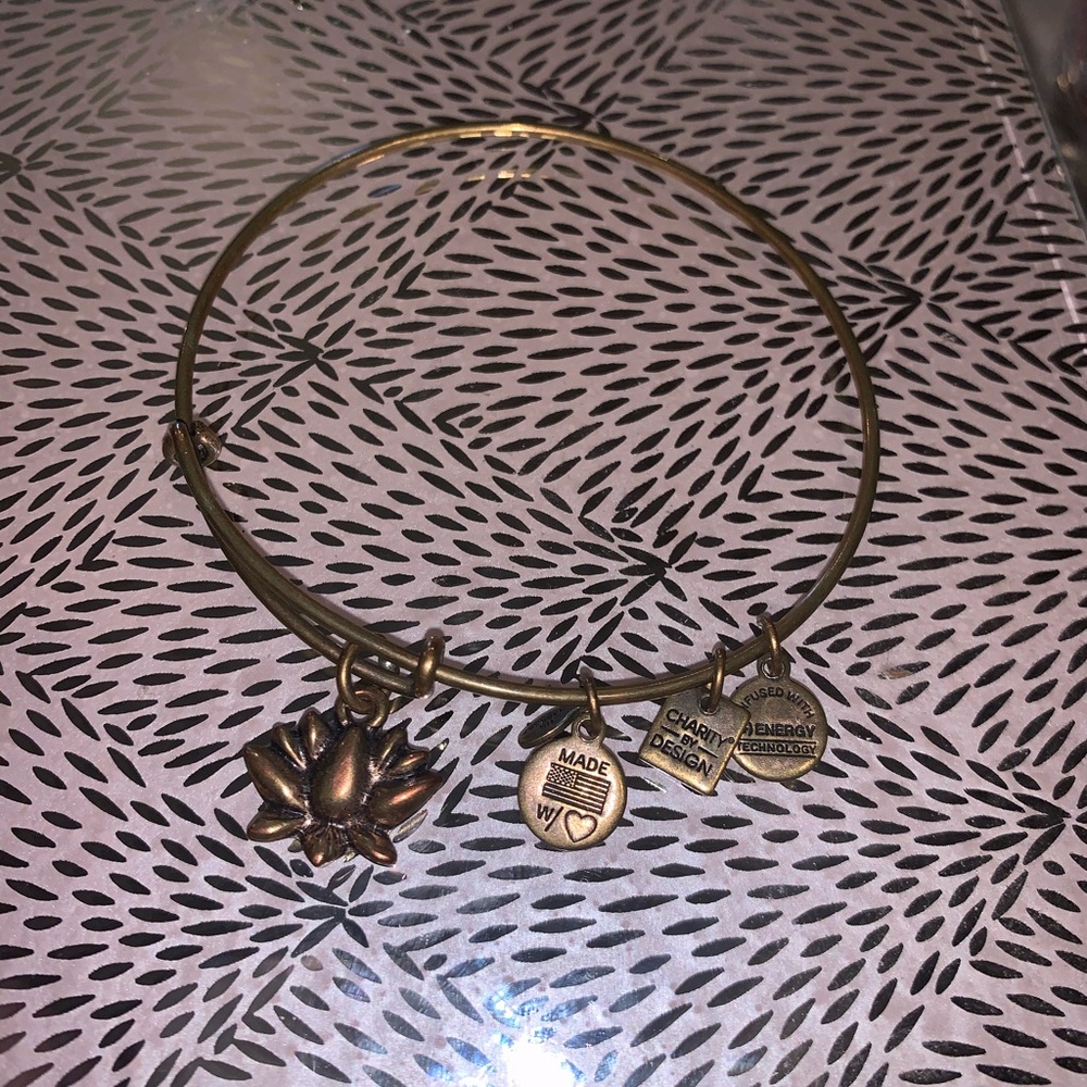 Alex and Ani Bangle Bracelet